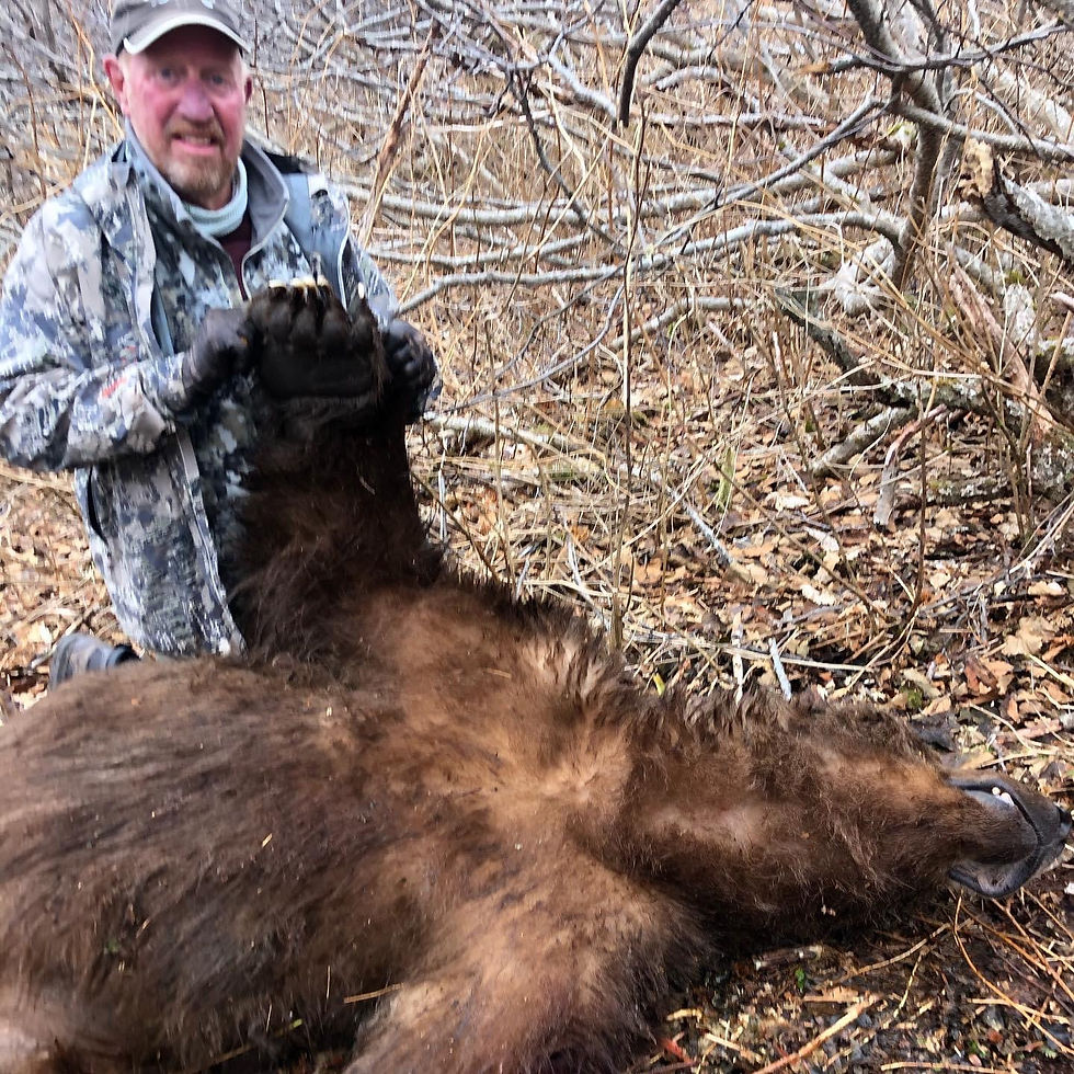 Thumbnail: Yacht Based Kodiak Brown Bear Hunts Alaska