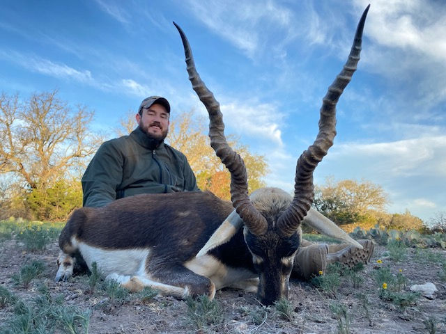 Thumbnail: Best Value Axis Deer, Fallow Deer, and Black Buck Hunts in Texas
