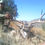 Thumbnail: Desert Mule Deer Hunting in New Mexico