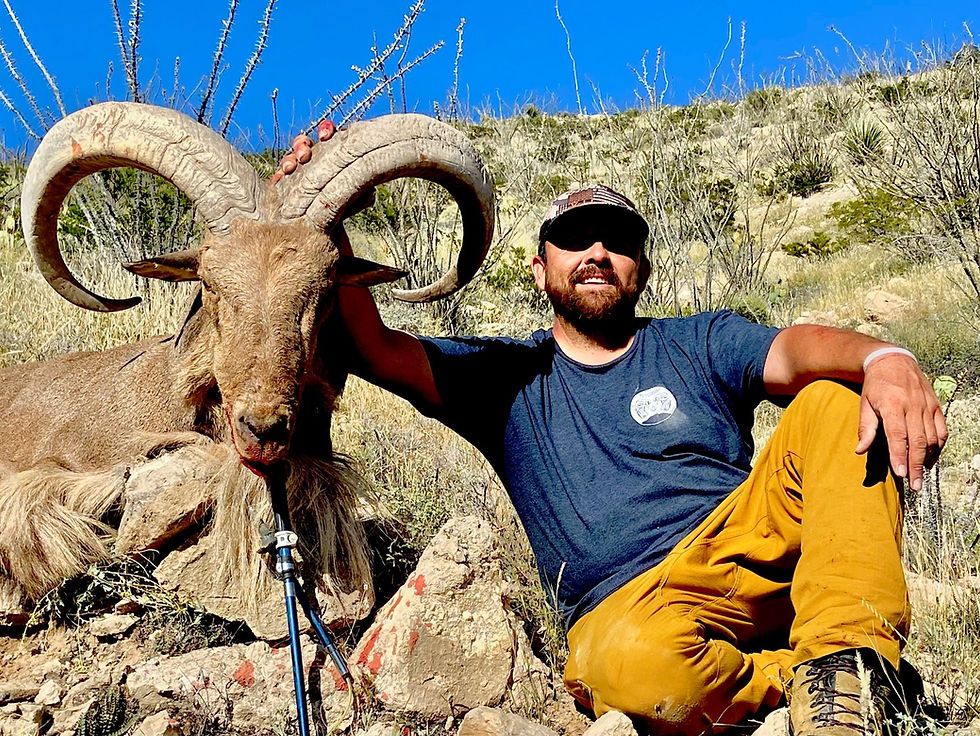 Thumbnail: Affordable Aoudad Hunts in West Texas