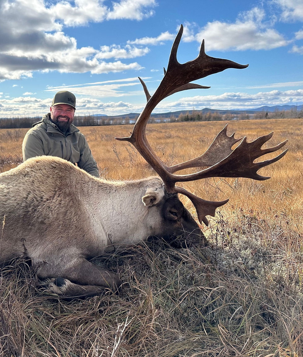 Thumbnail: Newfoundland Lodge Based Moose and Woodland Caribou Hunts