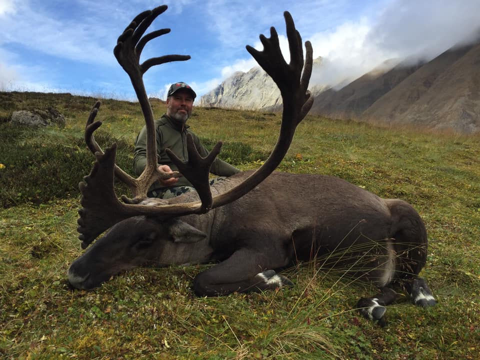 Thumbnail: Where can I hunt Moose Caribou and Grizzly in Alaska