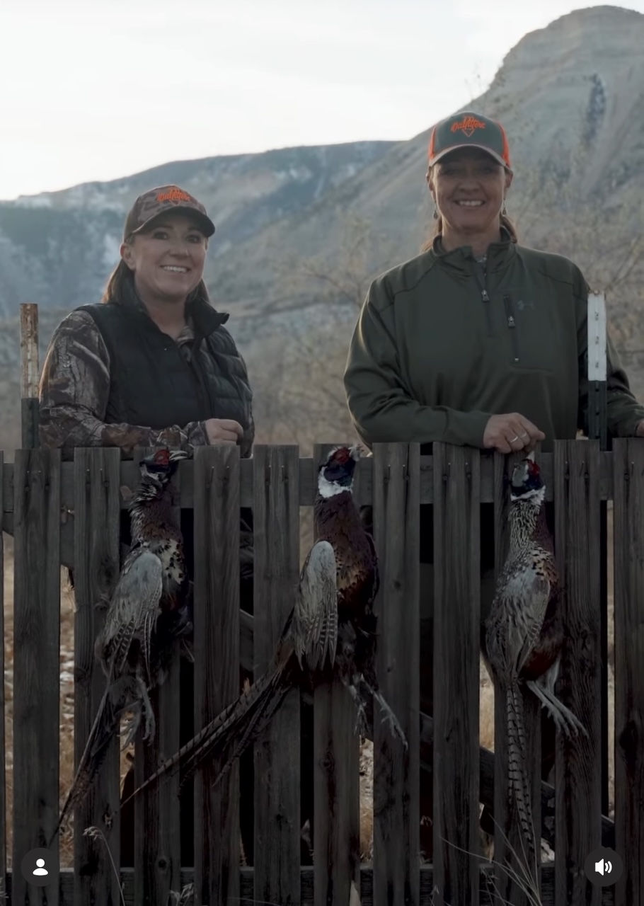 Thumbnail: Colorado River Pheasant Hunting in Western Colorado