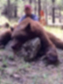 Thumbnail: Fully Guided Black Bear Hunting - New Mexico