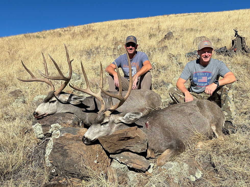 Thumbnail: New Mexico Public land Mule Deer and Coues Deer Hunts
