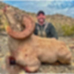 Thumbnail: Old Mexico Desert Bighorn Hunts - Free Range Archery and Rifle