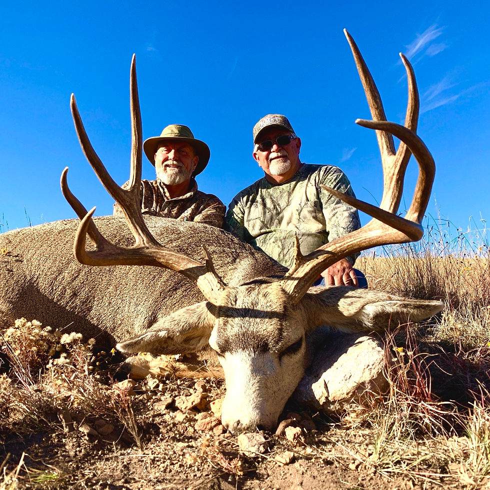Thumbnail: Desert Mule Deer Hunting in New Mexico