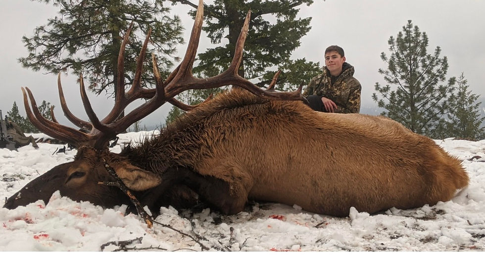 Thumbnail: Estate Hunting Giant Bull Elk and Bison