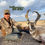 Thumbnail: Private Land Antelope Hunting in Central New Mexico