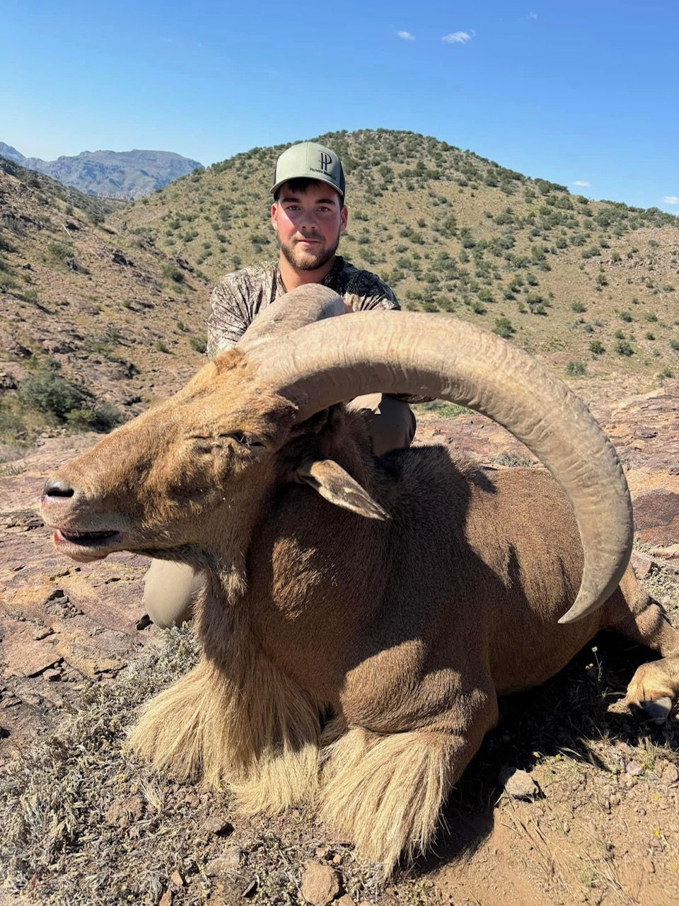 Thumbnail: who is killing the biggest aoudad in Texas?