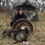 Thumbnail: Western Kansas Rio Grande Turkey Hunts