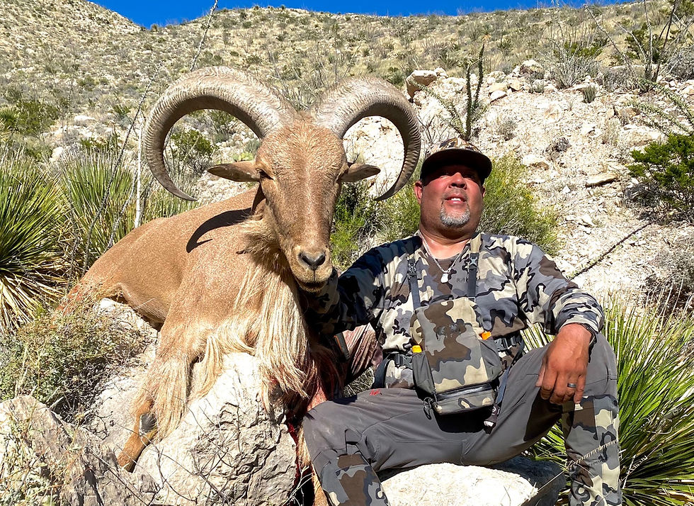 Thumbnail: Affordable Aoudad Hunts in West Texas