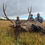 Thumbnail: Western Wyoming Region W Elk Hunting on Private Ranch