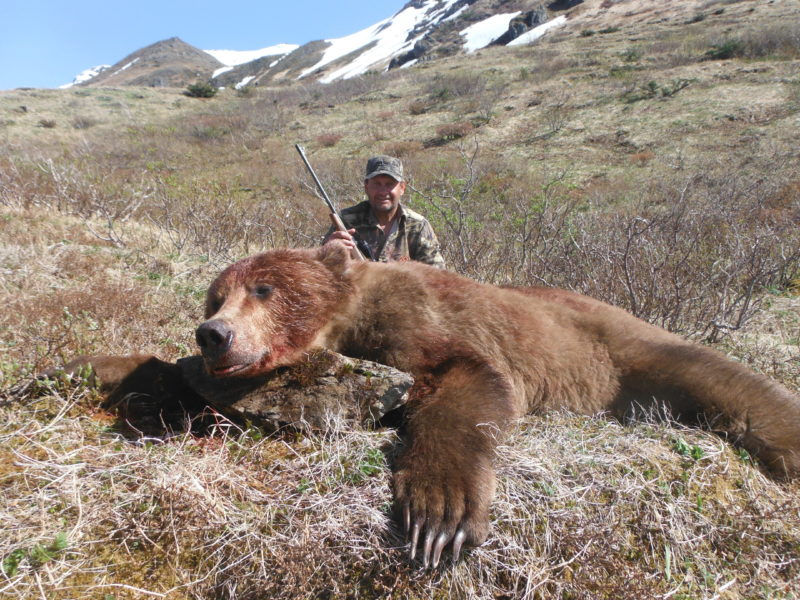 Thumbnail: Brown Bear hunting guide in Alaska