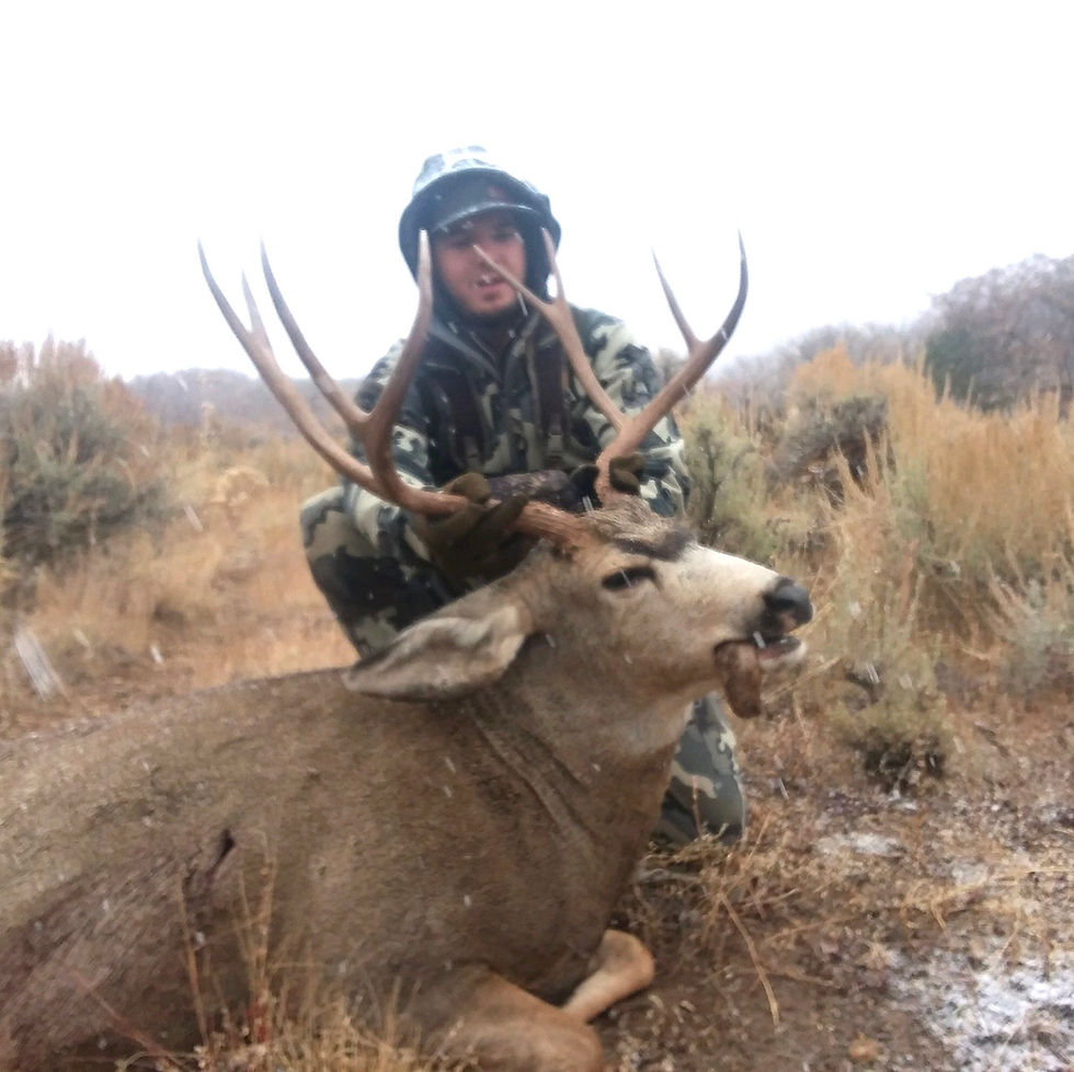 Thumbnail: Affordable Mule Deer Hunts in Central Utah