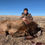 Thumbnail: Private Land Cow Elk in Northern New Mexico