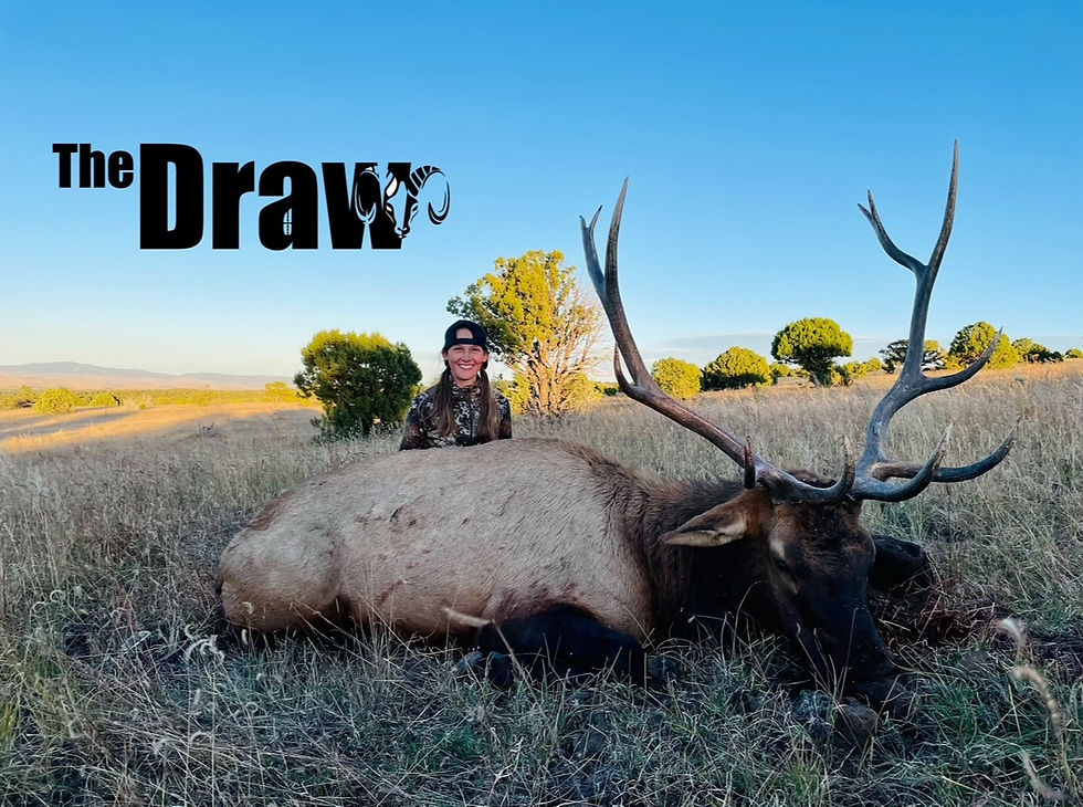 Thumbnail: New Mexico Elk Hunts with a registered Guide