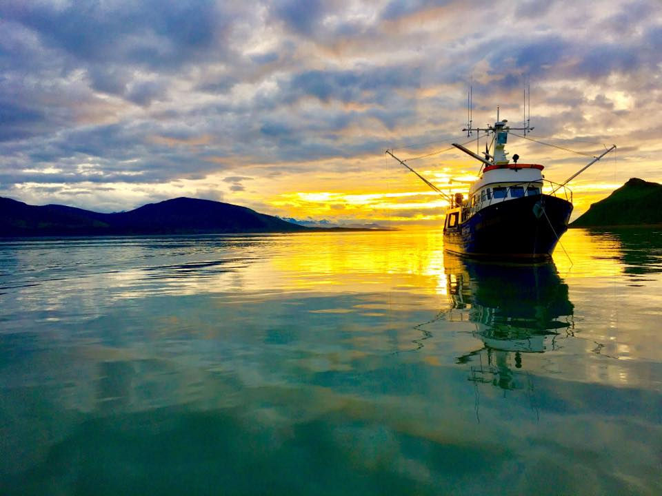 Thumbnail: Yacht Based Spring Black Bear Hunts Alaska