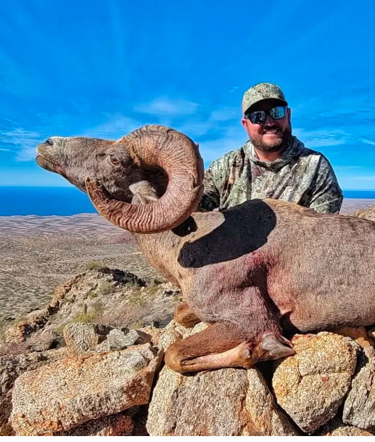 Thumbnail: Old Mexico Desert Bighorn Hunts - Free Range Archery and Rifle