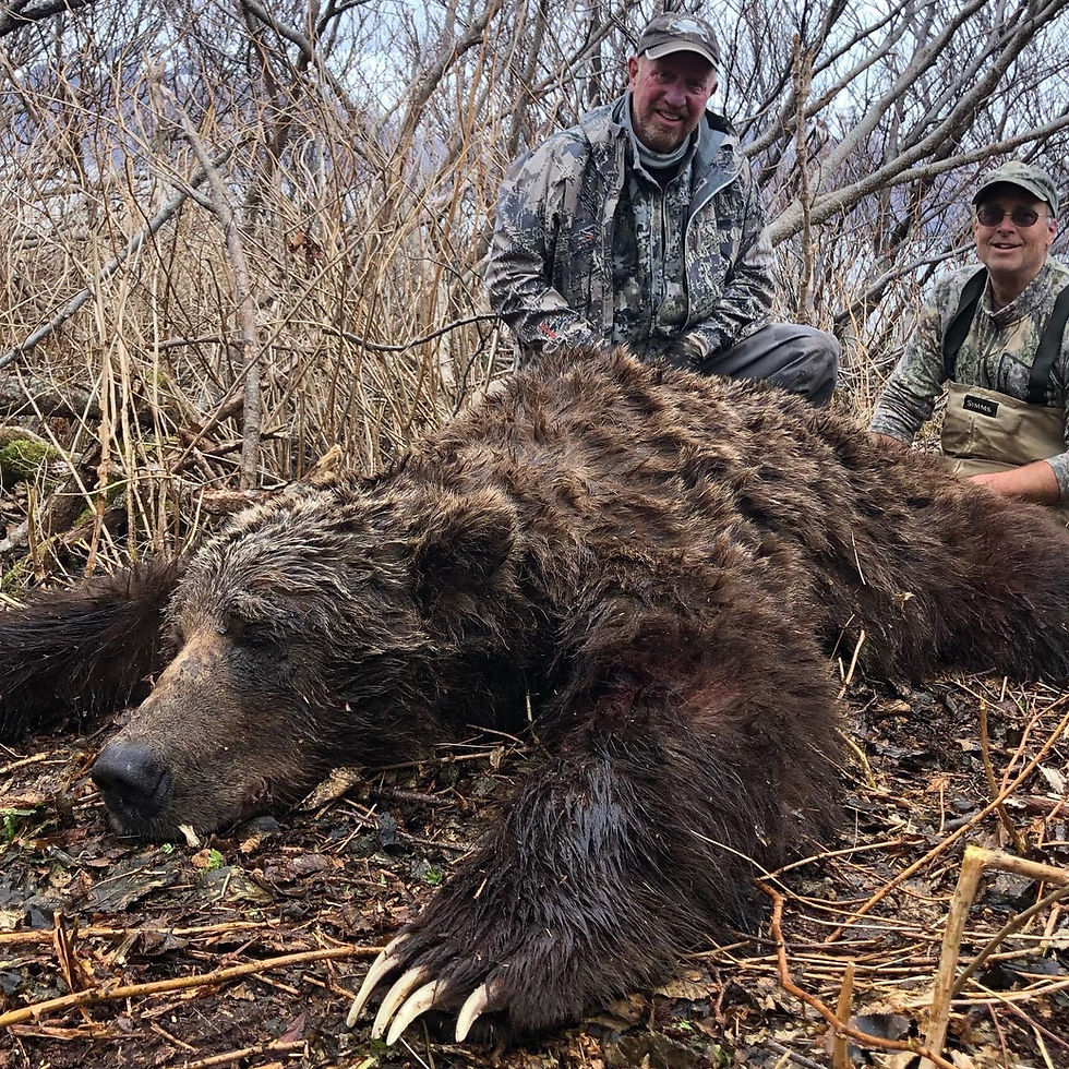 Thumbnail: Yacht Based Kodiak Brown Bear Hunts Alaska