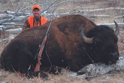 Frank_cole_bison_consultant_the_draw