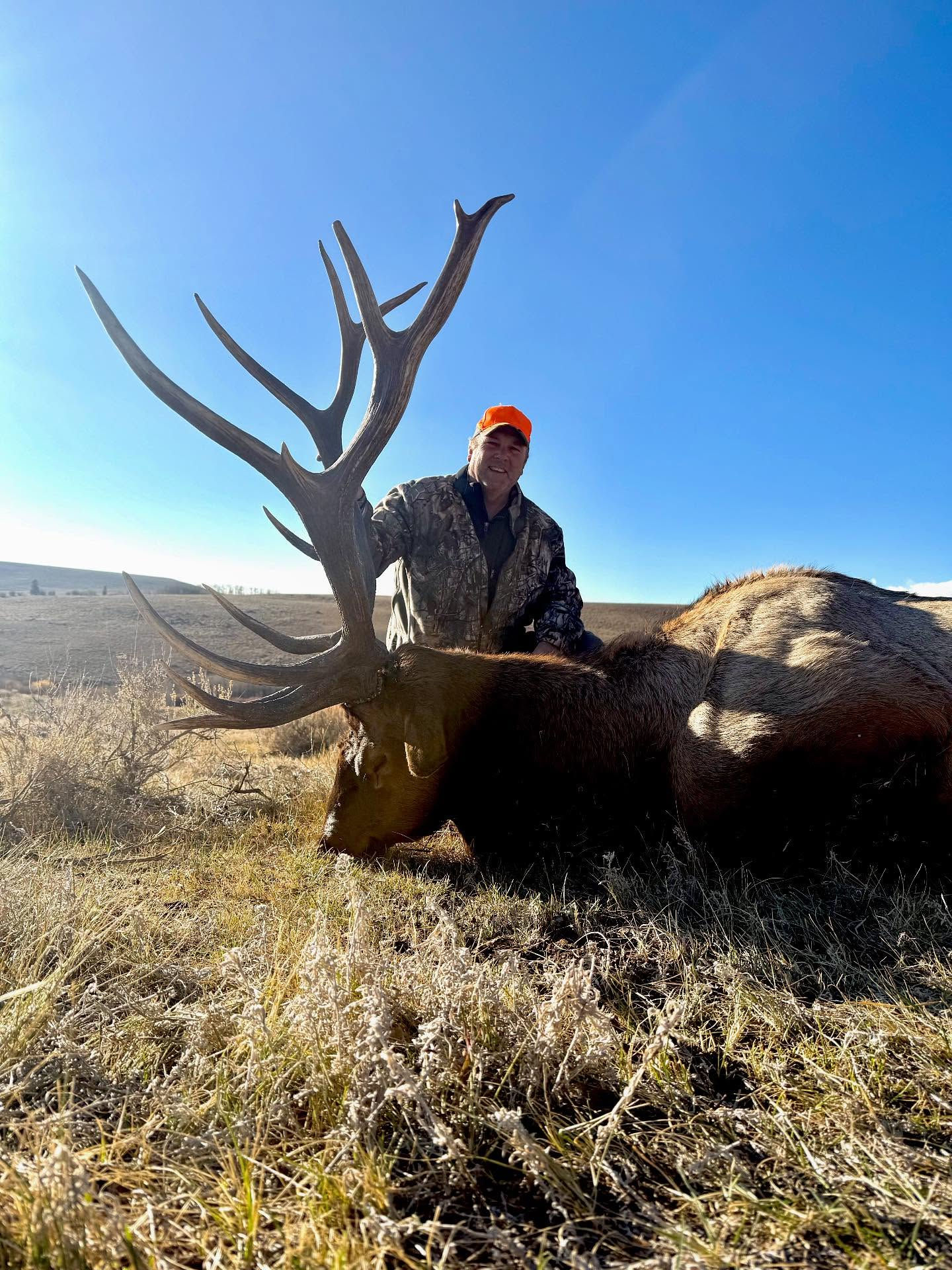 Western Wyoming Region W Elk Hunting on Private Ranch