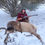 Thumbnail: World Class Cow Elk Hunting in Northern Utah