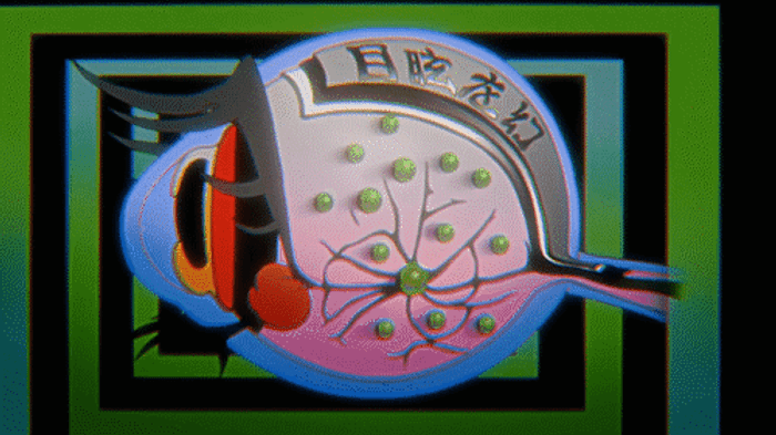 gif6.gif