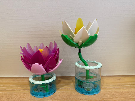 [樂高開箱][10345] Water lilies