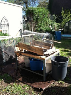 Compost sifter