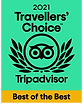 TC_2021_BOTB_LL_GREEN_BG-01.png