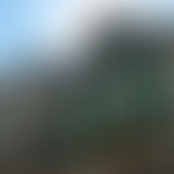 Das Hof- und Fassadenprogramm für Solingen Wald!