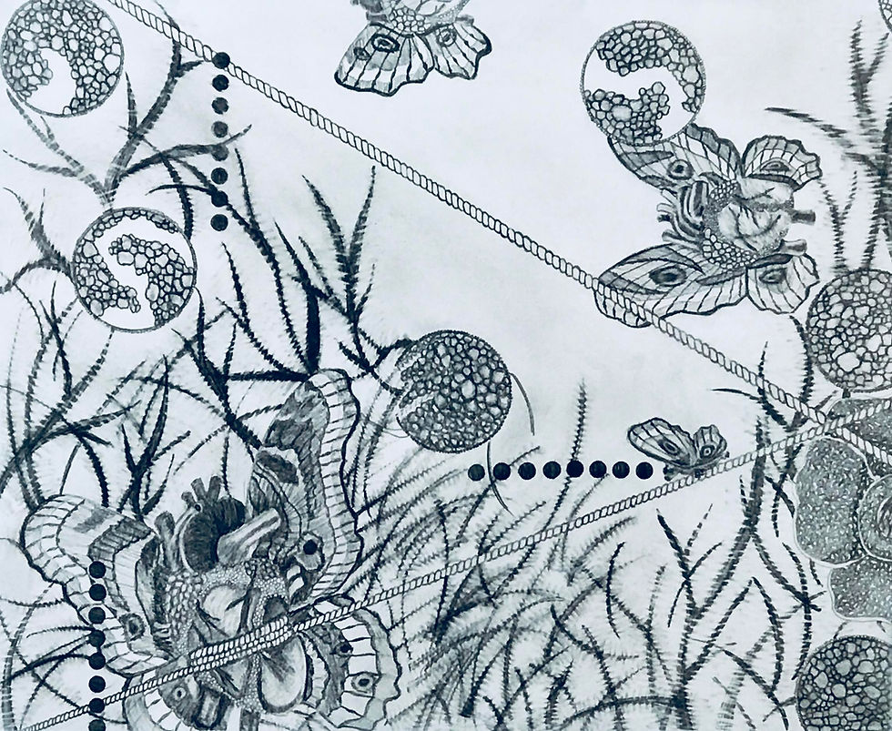 Symbiosis Series