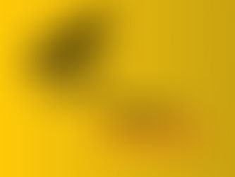 Charity Art Auction for Oki Language Project