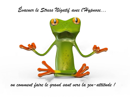 Évacuer le Stress Négatif avec l'Hypnose... ou comment faire le grand saut vers la zen-attitude !