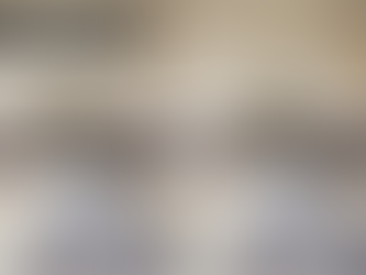 WANDERING THE DISTRICT