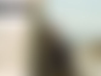 CAPTURING THE GREAT ESCAPE