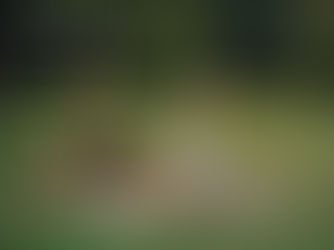 INSIDE ALO YOGA’S NEW ARRIVALS: A STUDY IN MODERN SIMPLICITY