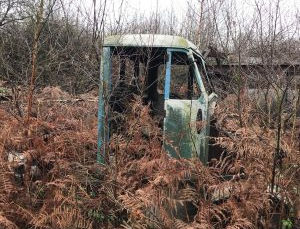 More finds in a local quary