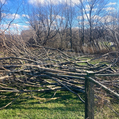 2021 Canandaigua: Smith Road