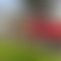 2021 Pittsford: French Road