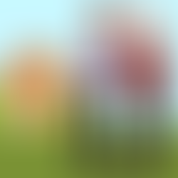 O Adiantamento de Herança e os Limites da Doação de Pais para Filhos