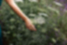 0029_Claire531_WEB.jpg