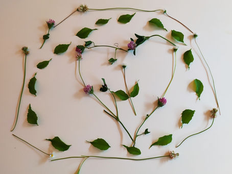 L'attention, au cœur de la pratique sophro