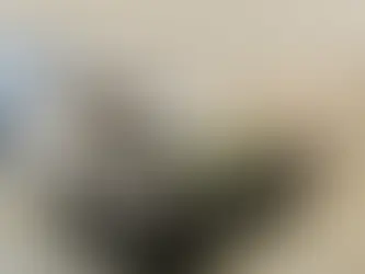 A Brasil Nutri Ambiental tem se consolidado como a principal referência em soluções sustentáveis para o gerenciamento de resíduos na América Latina.