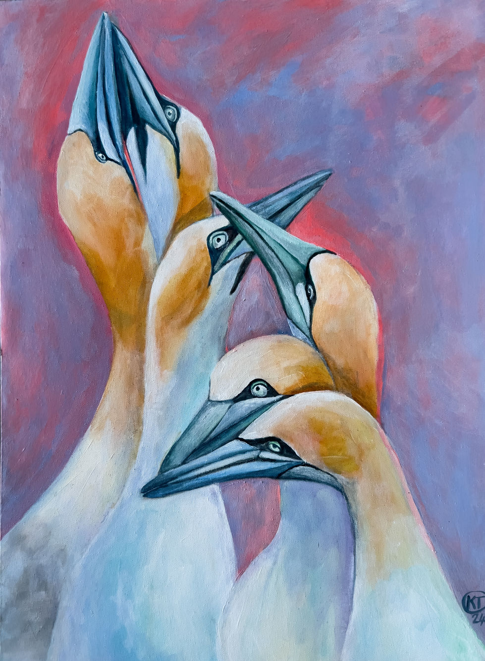A plunging of Gannets