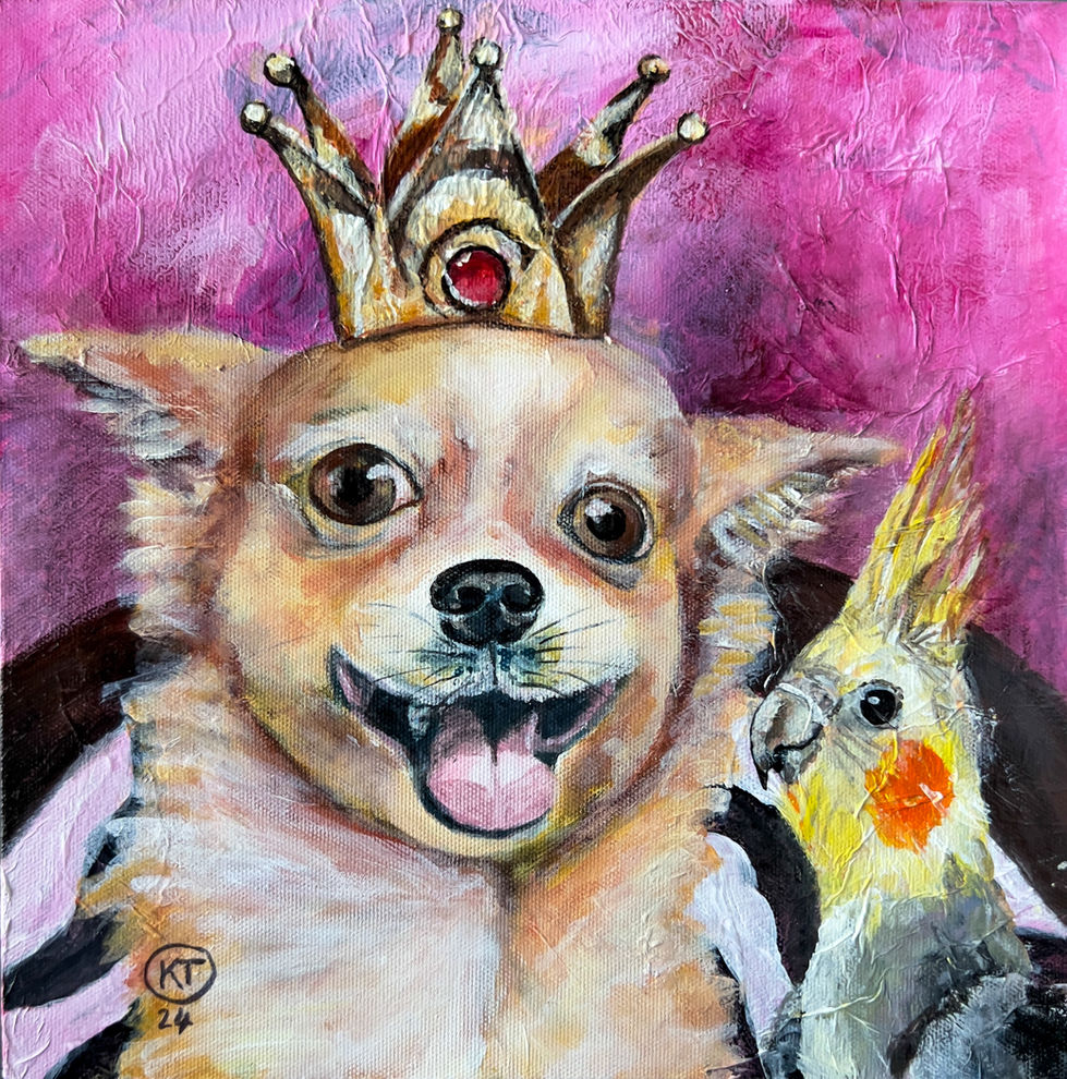 *Sold* 
The spoiled chihuahua touched