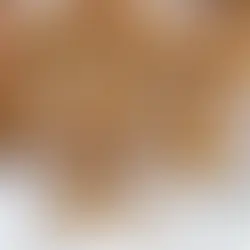 Peanut Butter Chocolate Chip Cookies