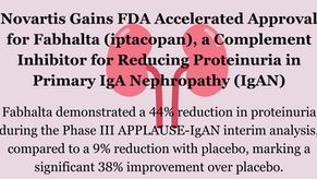 Novartis Gains FDA Accelerated Approval for Fabhalta (iptacopan), a Complement Inhibitor for Reducing Proteinuria in Primary IgA Nephropathy (IgAN)