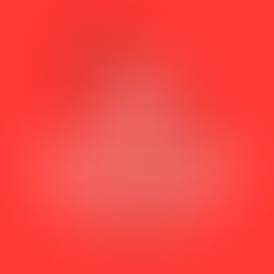 European Society of Cardiology Congress 2020 